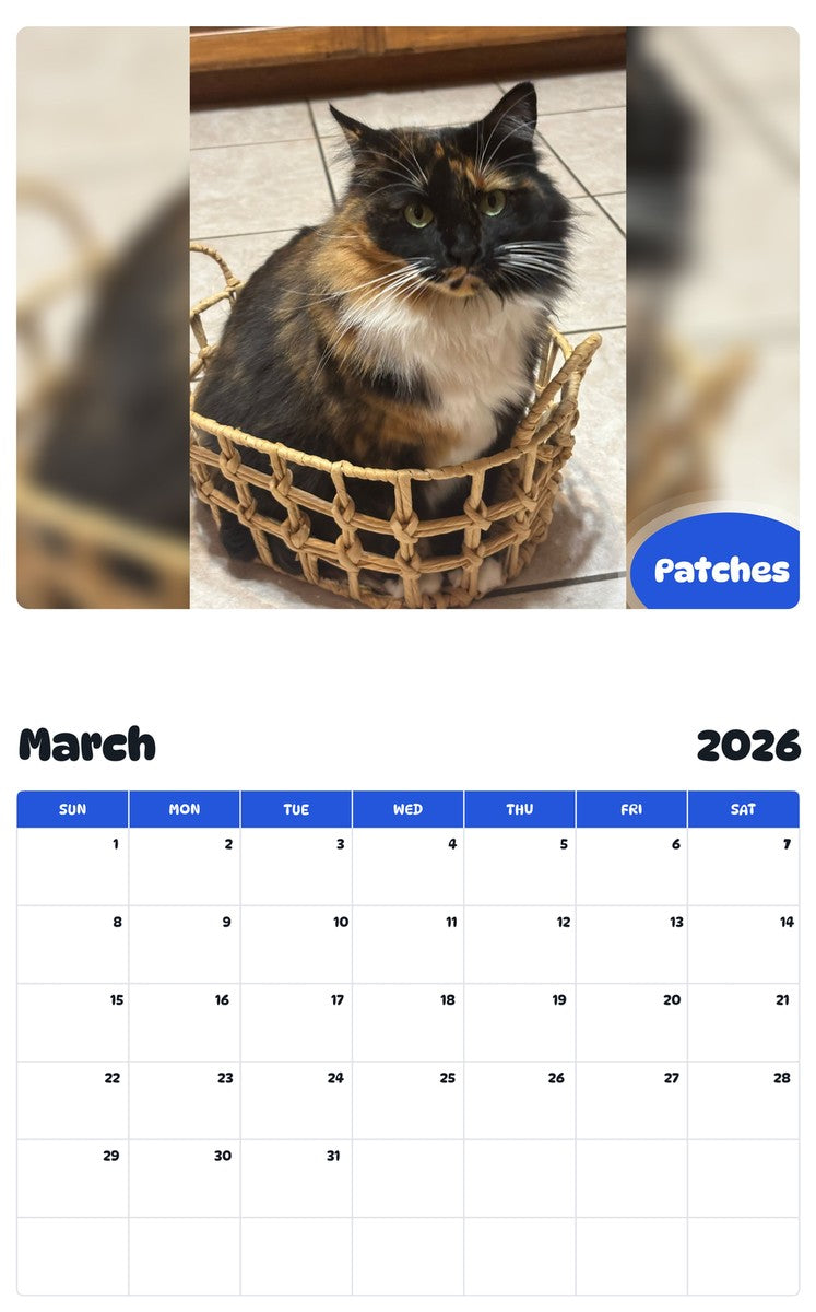 November 2025 - October 2026 Patches - Pawidols Pet Calendar