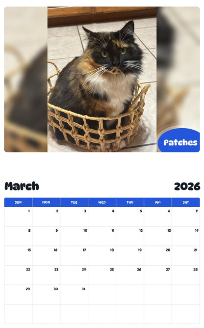 November 2025 - October 2026 Patches - Pawidols Pet Calendar