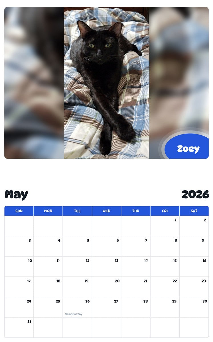2026 - 2027 Zoey - Pawidols Pet Calendar
