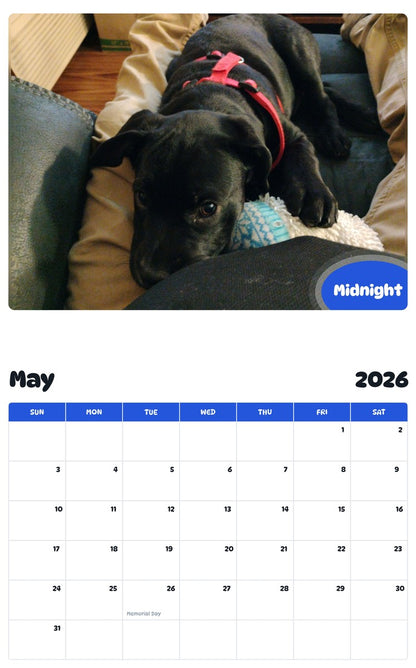 2026 - 2027 Midnight - Pawidols Pet Calendar