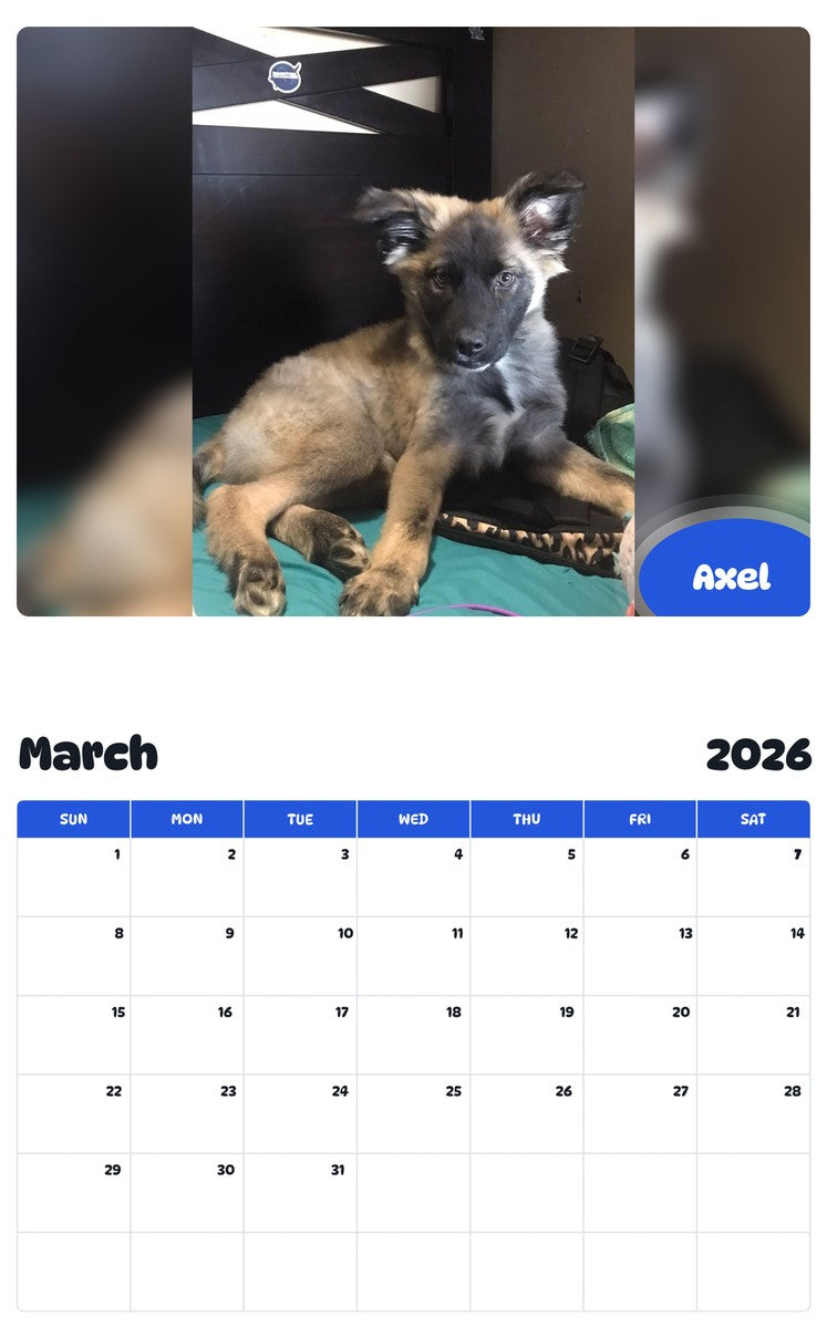 November 2025 - October 2026 Axel - Pawidols Pet Calendar