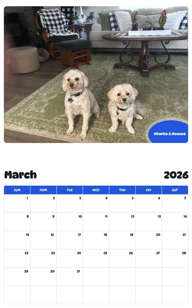 November 2025 - October 2026 Charlie & Roscoe - Pawidols Pet Calendar