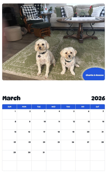 November 2025 - October 2026 Charlie & Roscoe - Pawidols Pet Calendar