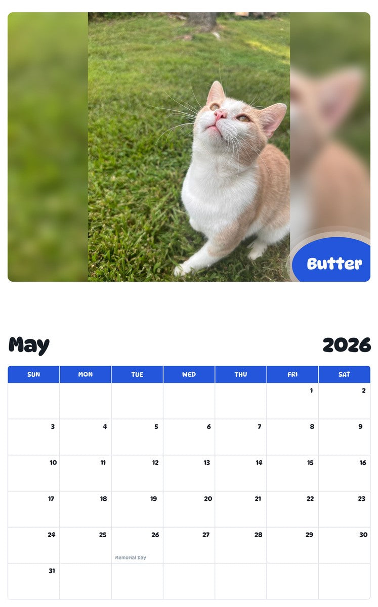 2026 - 2027 Butter - Pawidols Pet Calendar