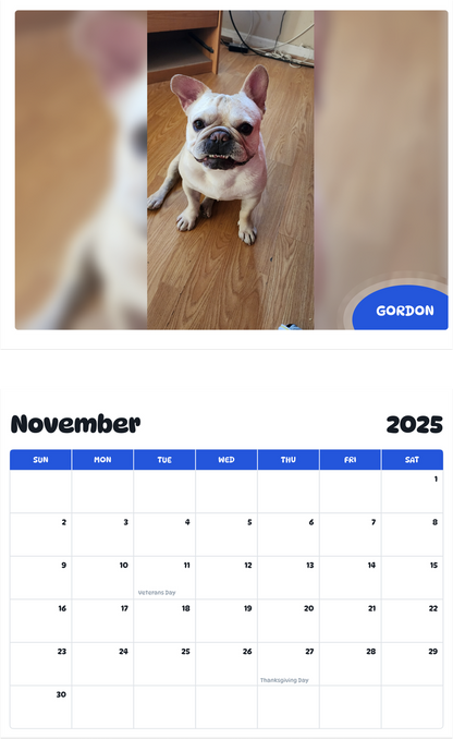 July 2025 - June 2026 Gordon - Pawidols Pet Calendar