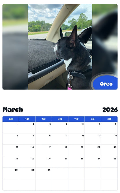 November 2025 - October 2026 Oreo - Pawidols Pet Calendar
