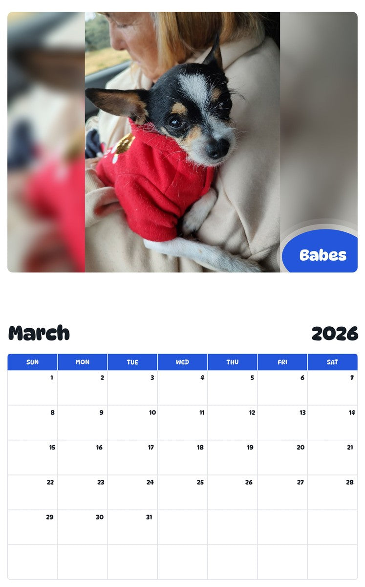 November 2025 - October 2026 Babes - Pawidols Pet Calendar