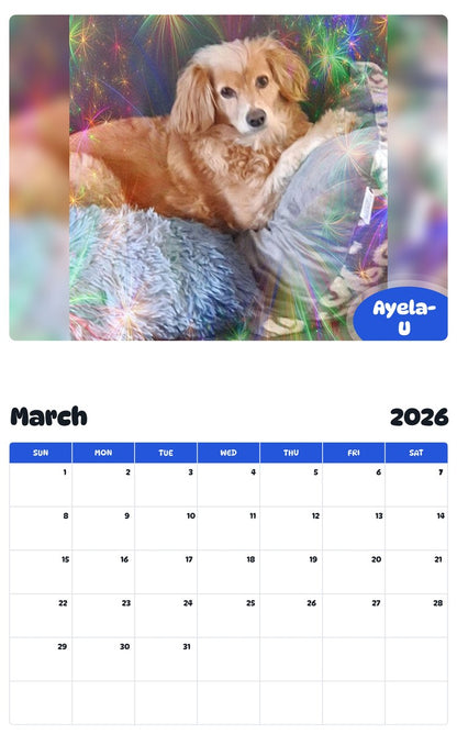 November 2025 - October 2026 Ayela-U - Pawidols Pet Calendar