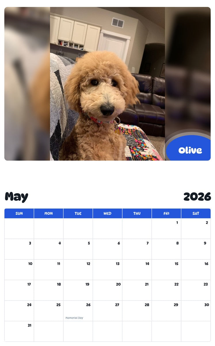 2026 - 2027 Olive - Pawidols Pet Calendar