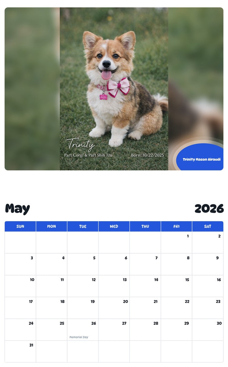 2026 - 2027 Trinity Mason Airaudi - Pawidols Pet Calendar