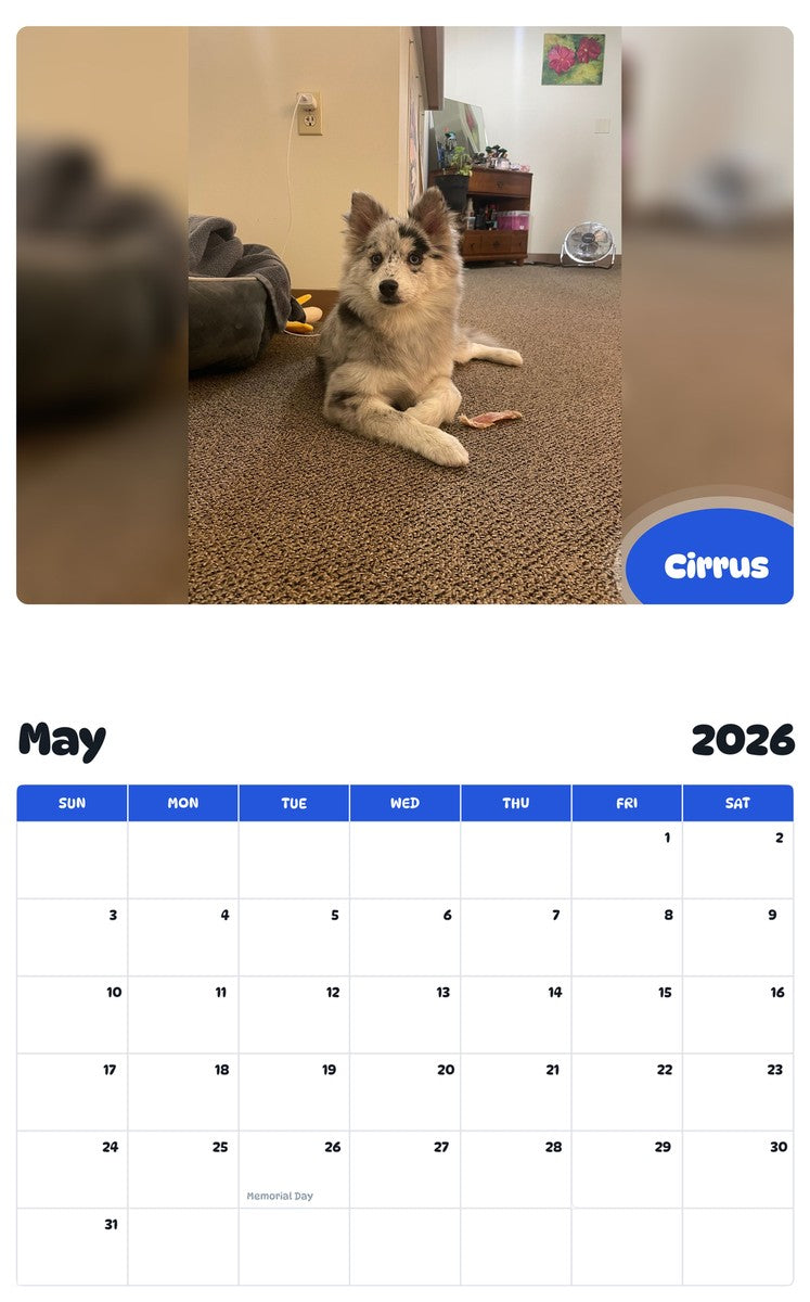2026 - 2027 Cirrus - Pawidols Pet Calendar