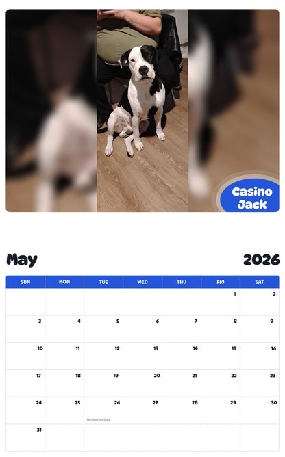 2026 - 2027 Casino Jack - Pawidols Pet Calendar
