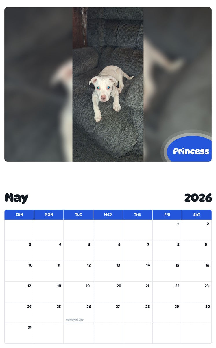 2026 - 2027 Princess - Pawidols Pet Calendar