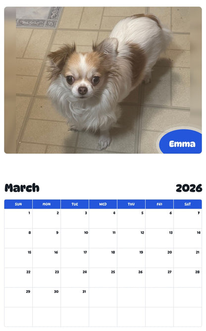 November 2025 - October 2026 Emma - Pawidols Pet Calendar