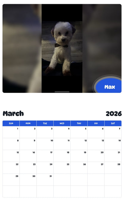 November 2025 - October 2026 Max - Pawidols Pet Calendar