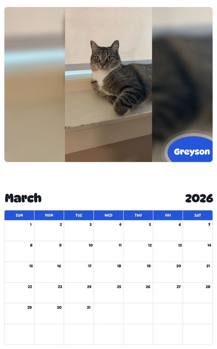 November 2025 - October 2026 Greyson - Pawidols Pet Calendar