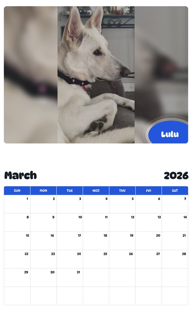 November 2025 - October 2026 Lulu - Pawidols Pet Calendar