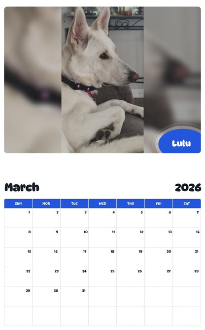 November 2025 - October 2026 Lulu - Pawidols Pet Calendar