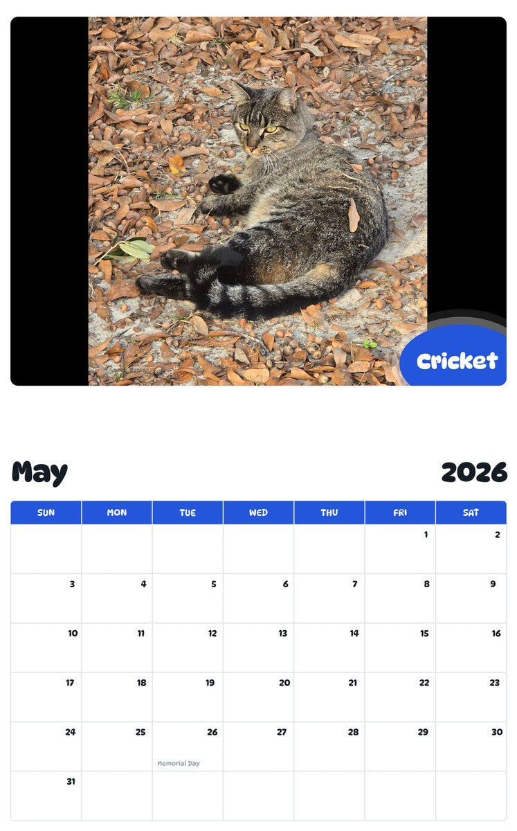 2026 - 2027 Cricket - Pawidols Pet Calendar