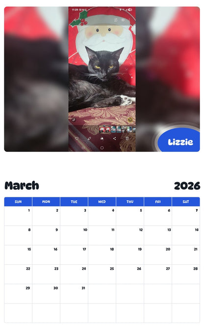 November 2025 - October 2026 Lizzie - Pawidols Pet Calendar