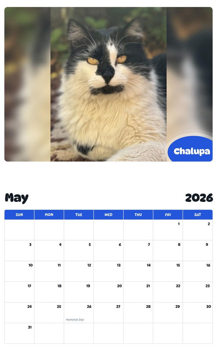 2026 - 2027 Chalupa - Pawidols Pet Calendar