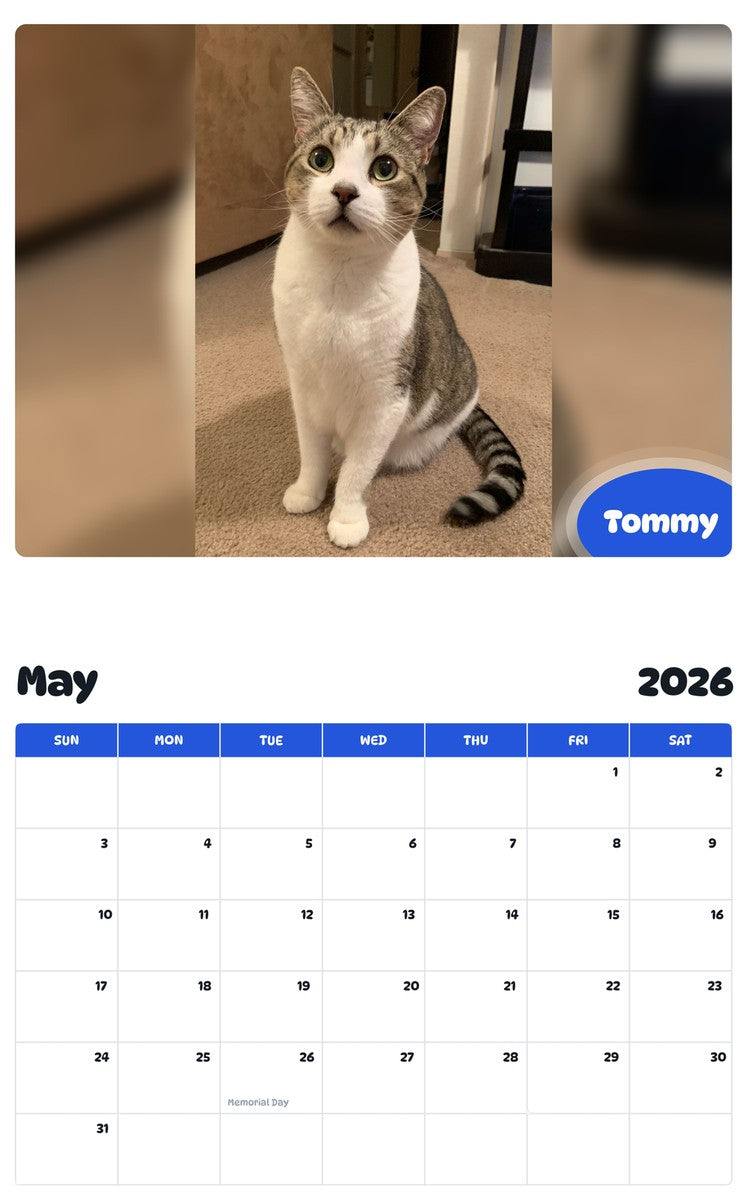 2026 - 2027 Tommy - Pawidols Pet Calendar