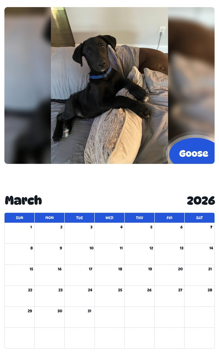 November 2025 - October 2026 Goose - Pawidols Pet Calendar