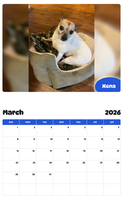 November 2025 - October 2026 Xena - Pawidols Pet Calendar