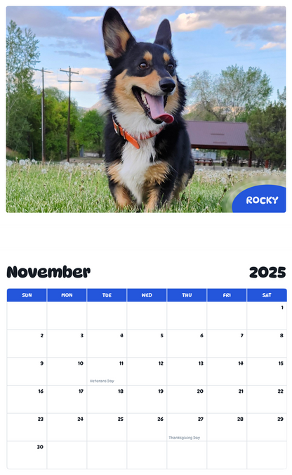 July 2025 - June 2026 Rocky - Pawidols Pet Calendar