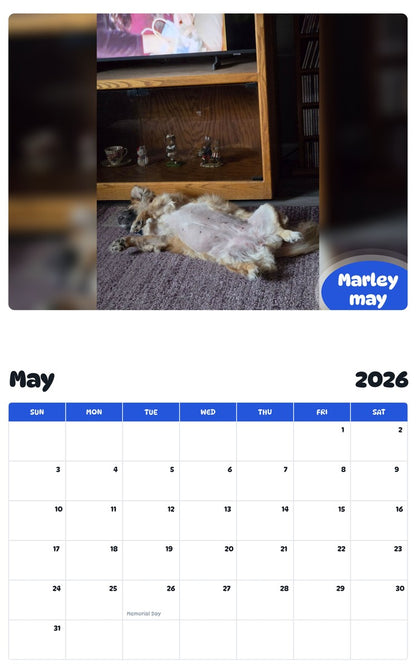 2026 - 2027 Marley may - Pawidols Pet Calendar