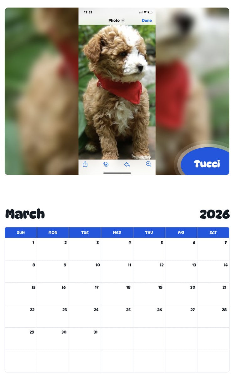 November 2025 - October 2026 Tucci - Pawidols Pet Calendar