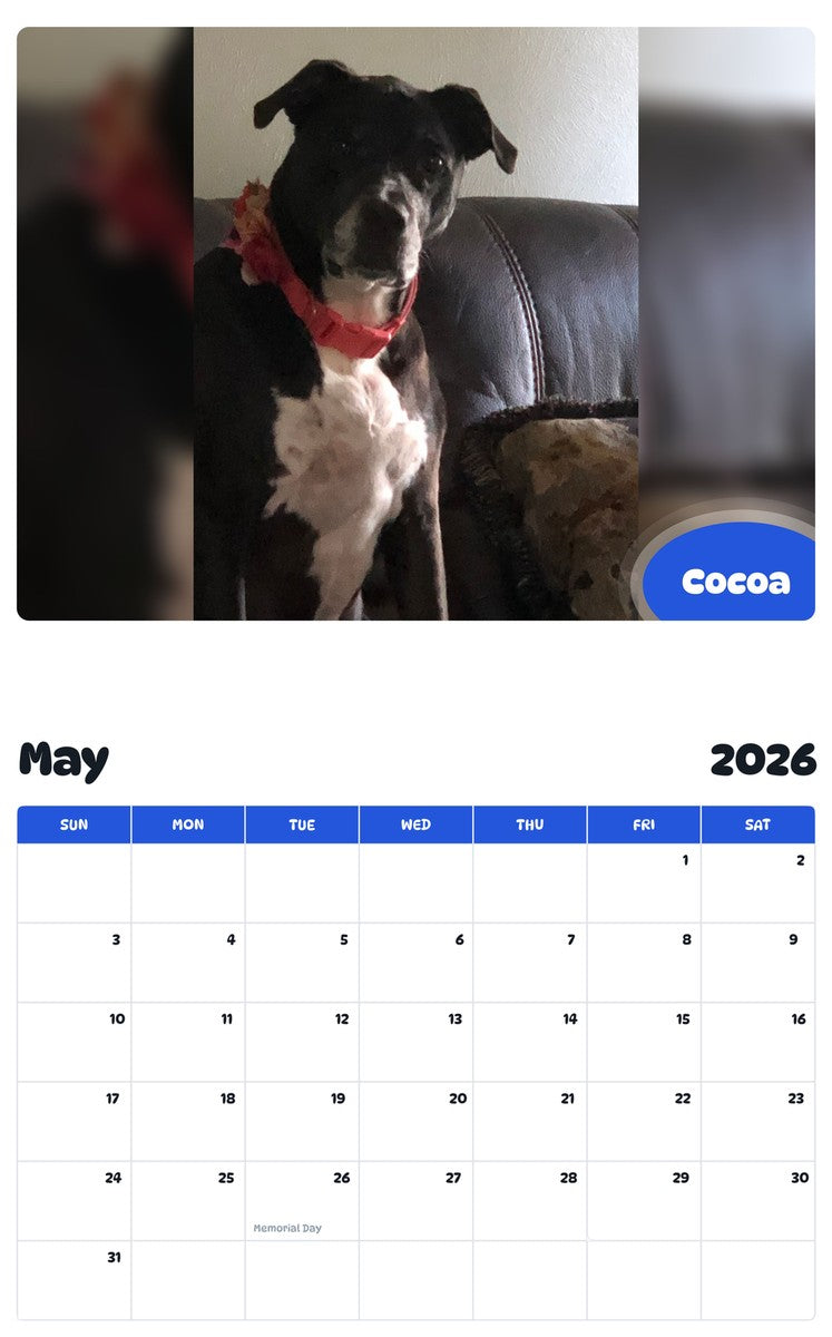2026 - 2027 Cocoa - Pawidols Pet Calendar