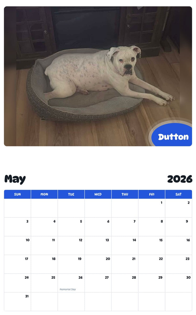 2026 - 2027 Dutton - Pawidols Pet Calendar