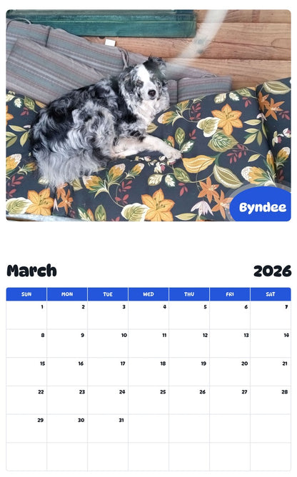 November 2025 - October 2026 Byndee - Pawidols Pet Calendar