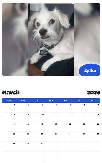 November 2025 - October 2026 Spike - Pawidols Pet Calendar