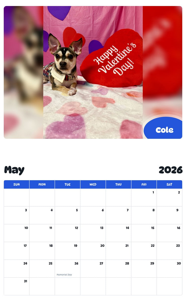 2026 - 2027 Cole - Pawidols Pet Calendar
