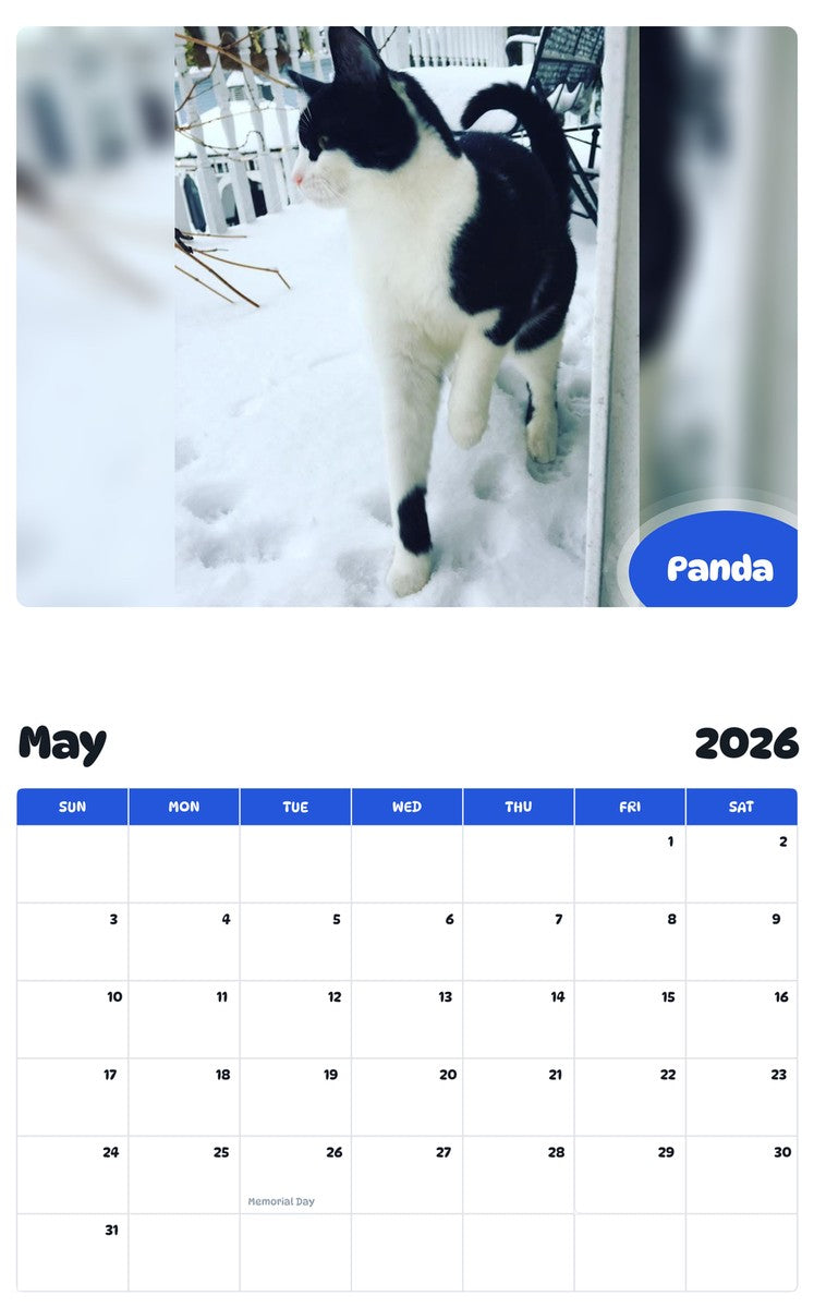 2026 - 2027 Panda - Pawidols Pet Calendar