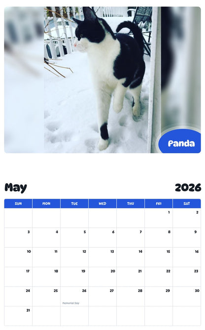 2026 - 2027 Panda - Pawidols Pet Calendar