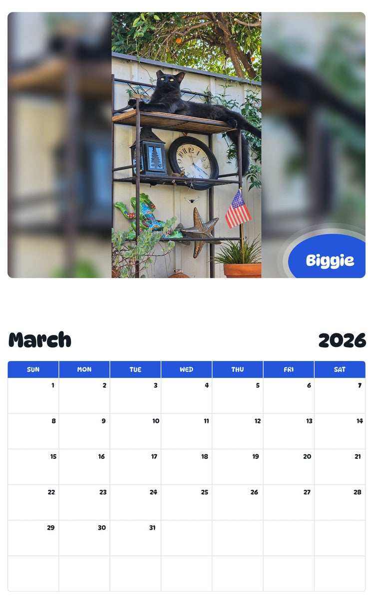 November 2025 - October 2026 Biggie - Pawidols Pet Calendar