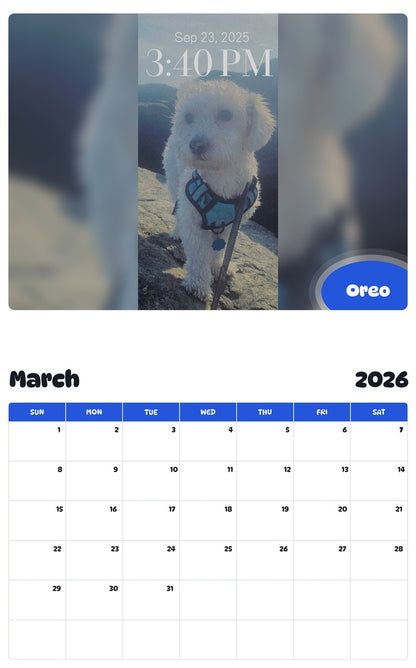 November 2025 - October 2026 Oreo - Pawidols Pet Calendar