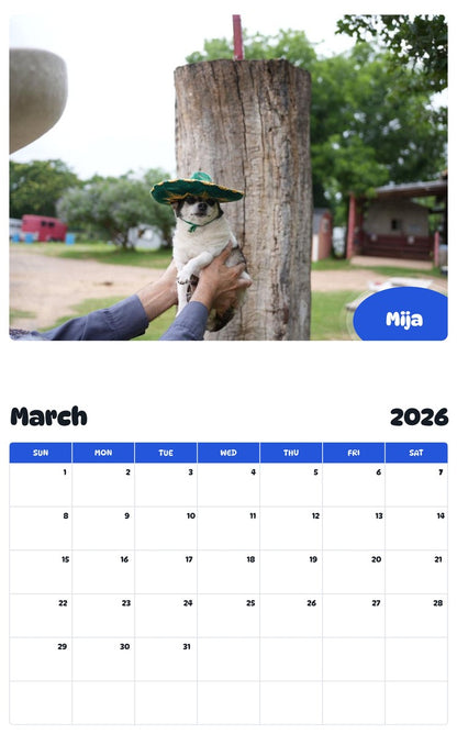 November 2025 - October 2026 Mija - Pawidols Pet Calendar