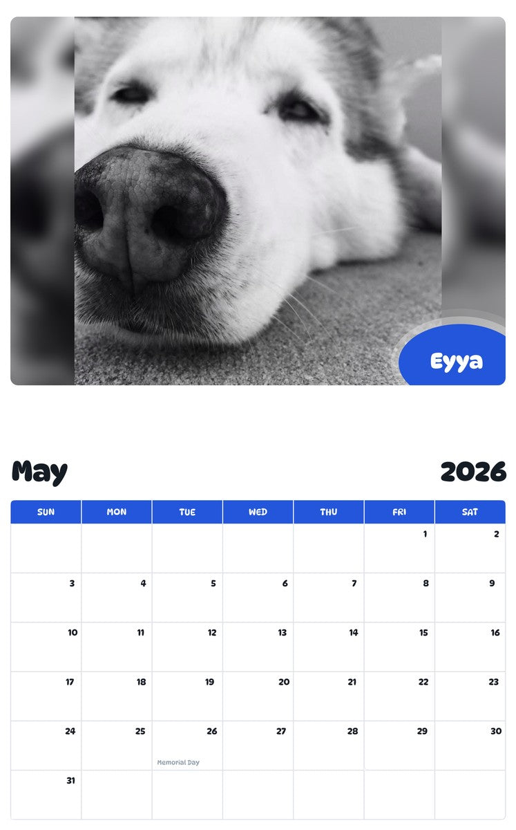 2026 - 2027 Eyya - Pawidols Pet Calendar