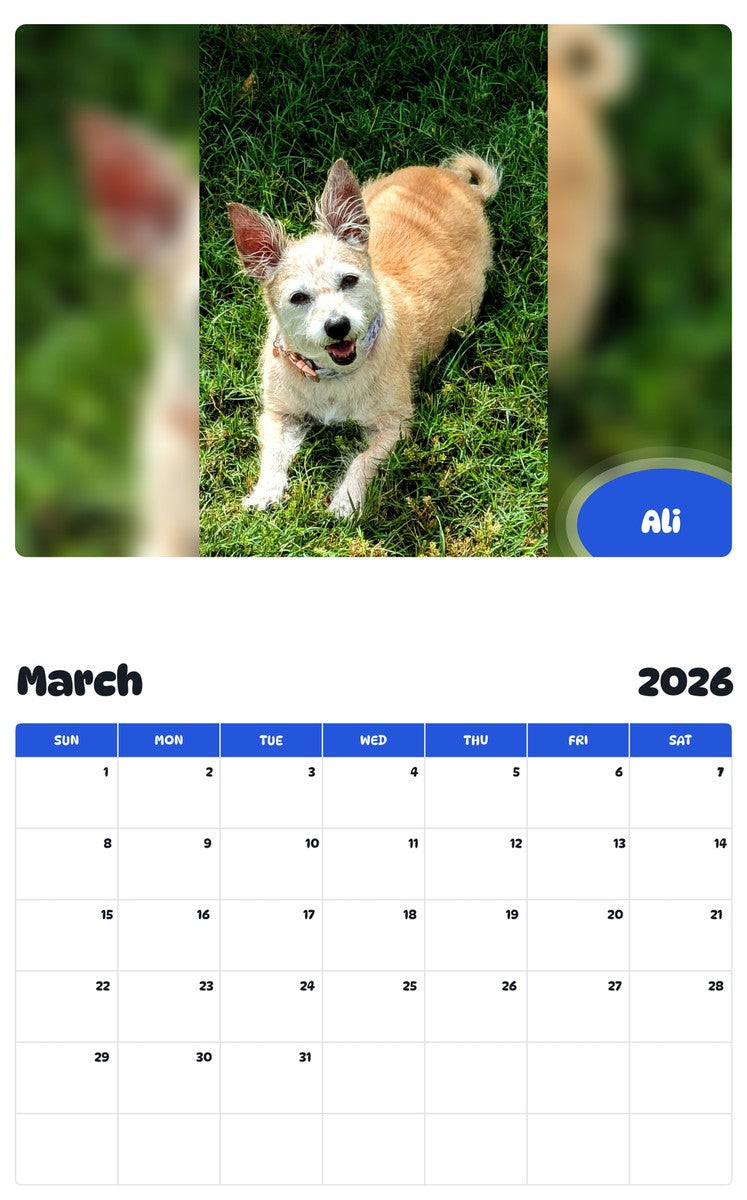 November 2025 - October 2026 Ali - Pawidols Pet Calendar