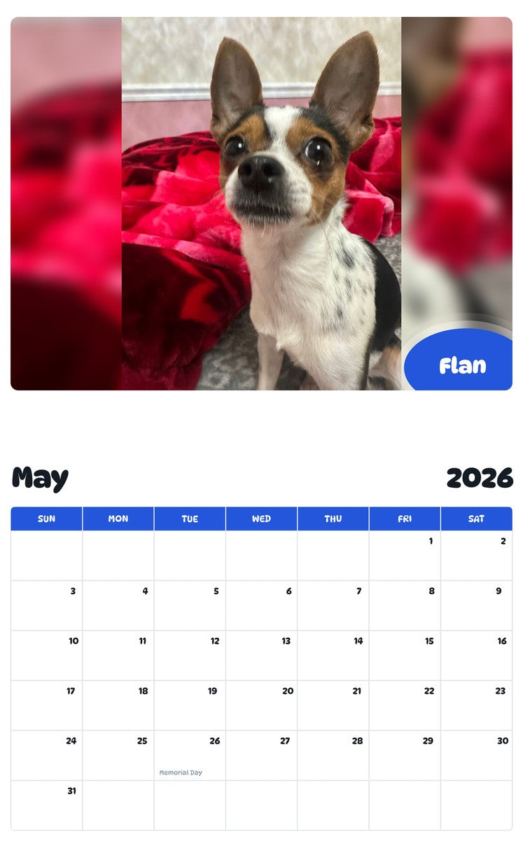 2026 - 2027 Flan - Pawidols Pet Calendar