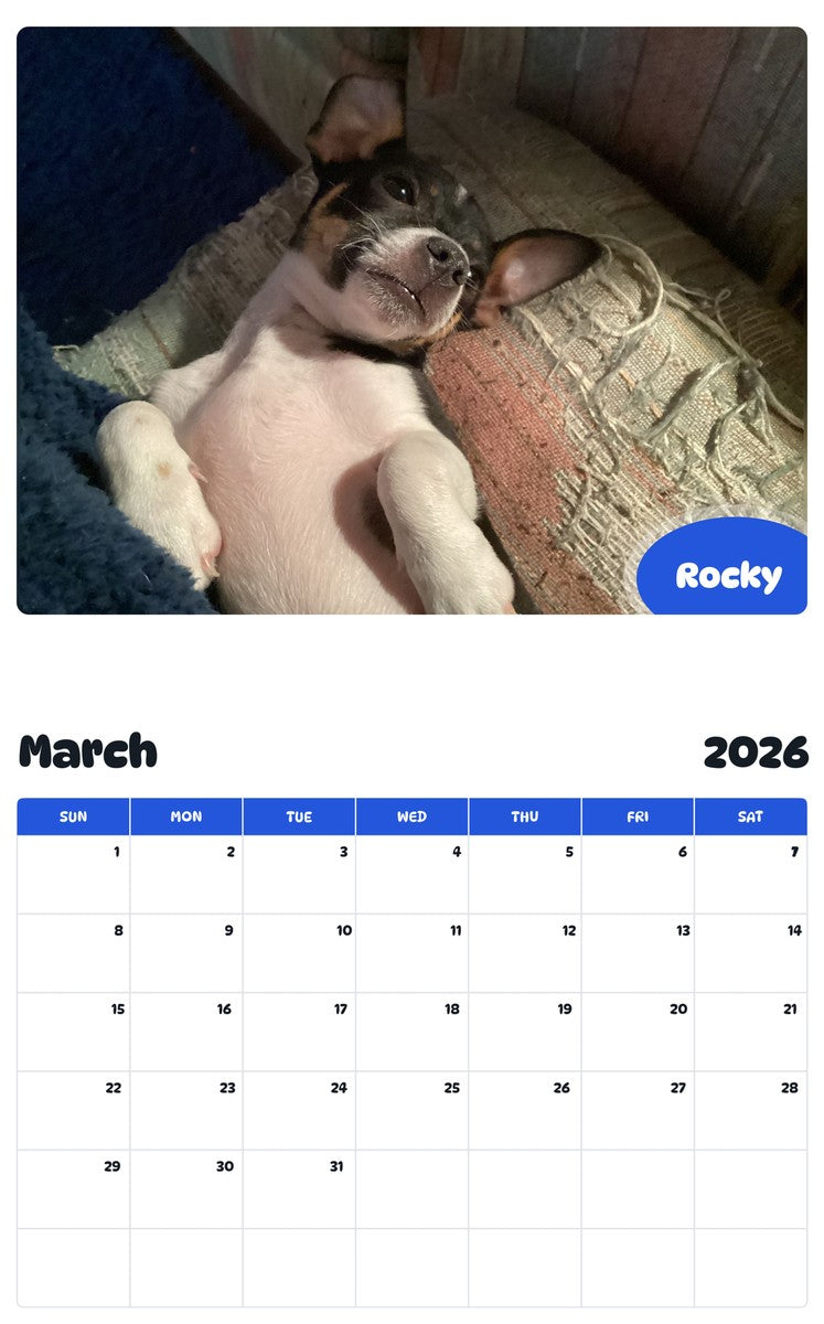 November 2025 - October 2026 Rocky - Pawidols Pet Calendar