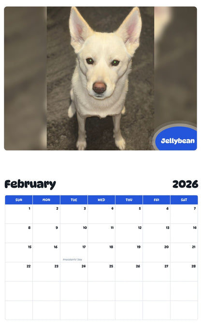 October 2025 - September 2026 Jellybean - Pawidols Pet Calendar