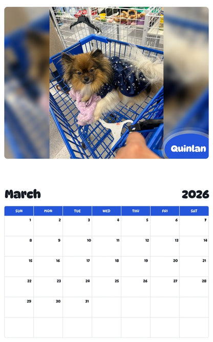 November 2025 - October 2026 Quinlan - Pawidols Pet Calendar