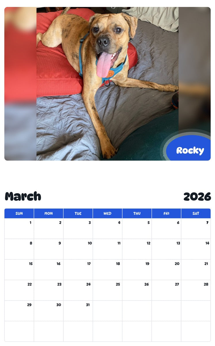 November 2025 - October 2026 Rocky - Pawidols Pet Calendar