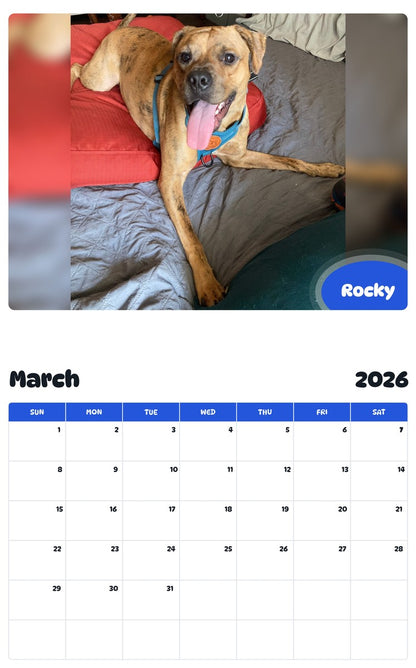November 2025 - October 2026 Rocky - Pawidols Pet Calendar