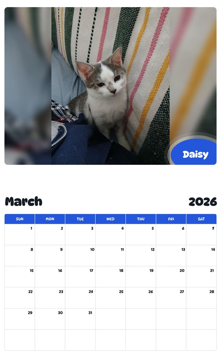 November 2025 - October 2026 Daisy - Pawidols Pet Calendar
